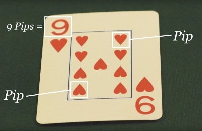 Where the pips are located Where the pips are located