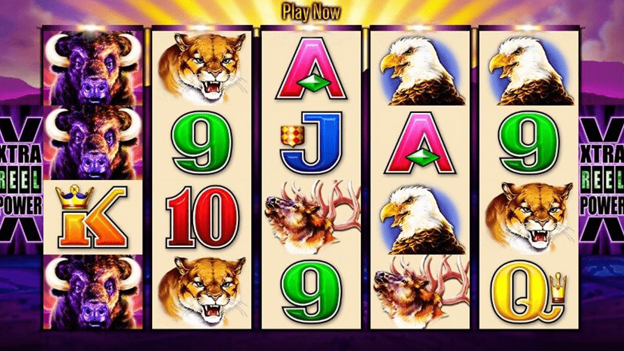 ⭐ How to Play Free Slots with Bonus and Free Spins No Download?, image 1