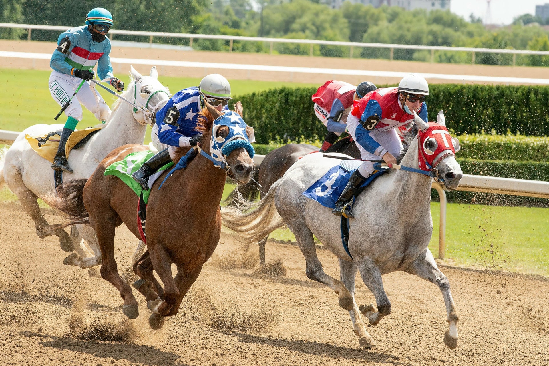 Melbourne Cup 2025 Odds - Australia's Biggest Betting Event
