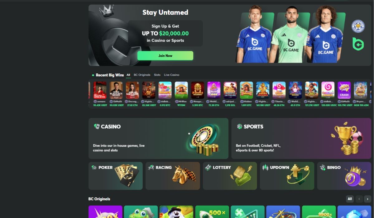 Screenshot of BC Game