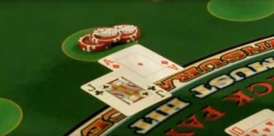 The Player has blackjack and bet is paid