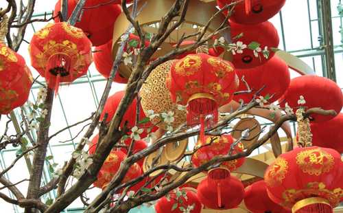 Celebrating the Lunar New Year