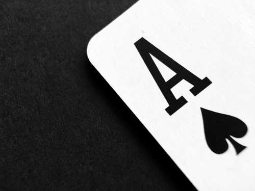 Understanding Player Choices in Different Casino Environments