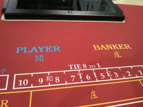 Course Hub for Midi Baccarat