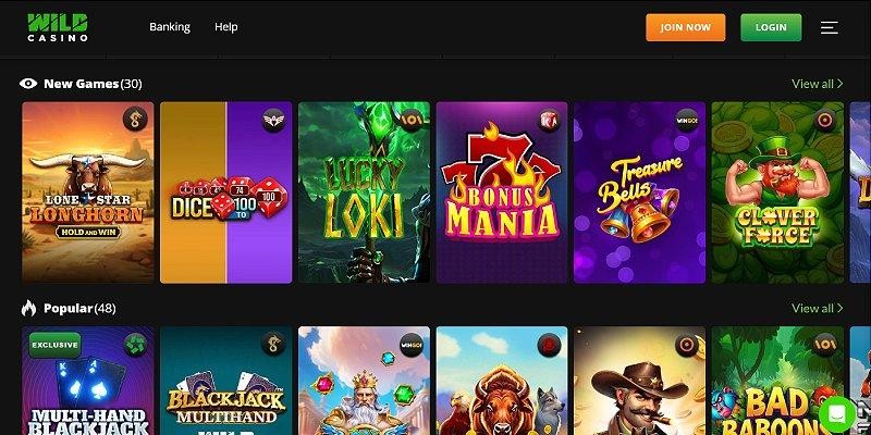 Screenshot of Wild Casino